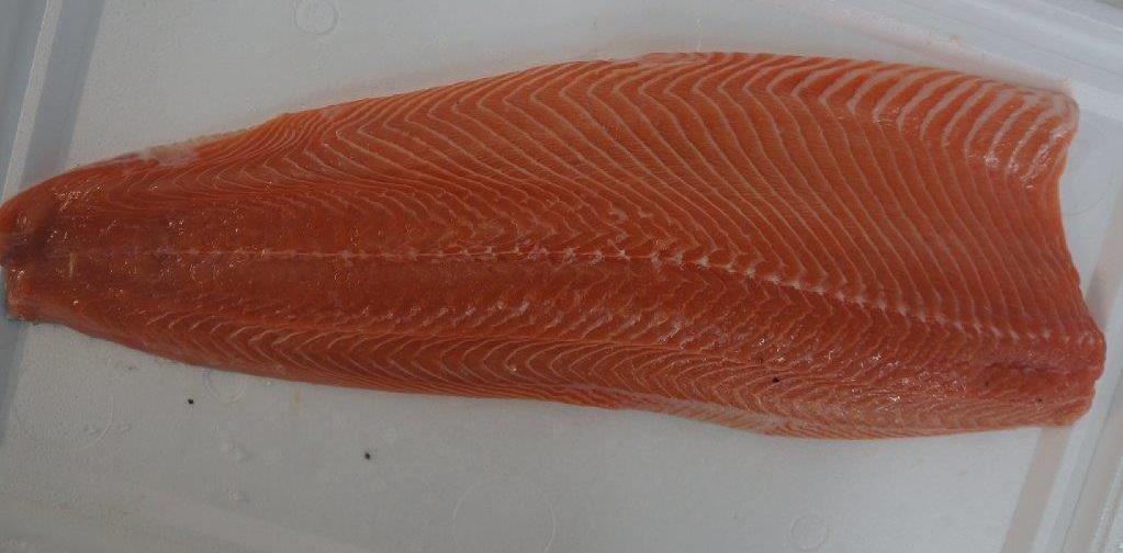Łosoś filet bez skóry 5000/6000 trim E, Salmon fillet skinless 5000/6000 trim E, Salmo Salar, ryb